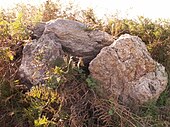 Dolmen de la Haute Gédelière