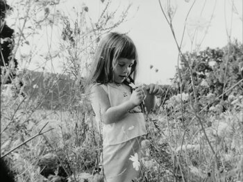 File:Daisy (1964).webm