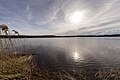 Dreifelder Weiher - Oberer Westerwald