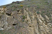 Exposed geological formation in the park