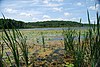 Goose Lake Drumlins.jpg