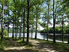 Le lac vu de la rive droite.