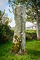 An early Christian memorial stone in St Francis churchyard; the church is a chapel-of-ease in the parish of St Enoder of the Diocese of Truro