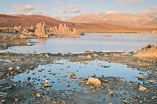 [Mono Lake South Tufa August 2013 012.jpg]