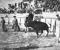 Cogida de Corchaíto tras ser embestido por el toro Distinguido