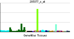 PBB GE ACHE 205377 s at tn.png