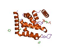 PDB 1h0a EBI.jpg