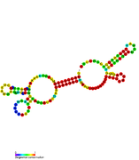 RsaH: Secondary structure of RsaH. Rfam family RF01821