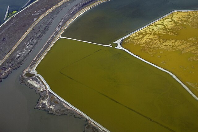This image depicts three salt ponds adjacent to each other, ranging in color from deep green to mustard yellow.