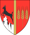 Neamț megye címere