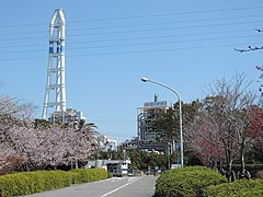 41.Taketoyo