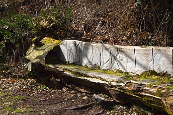 Banc taillé dans un tronc d'arbre à la tronçonneuse (définition réelle 3 264 × 2 172)