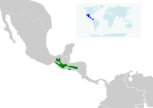 Turdus rufitorques map.svg