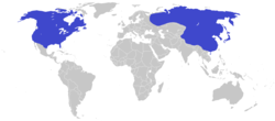 Localidades en que se han recolectado fósiles de Tyrannosaurus rex.