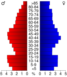 Schéma représentant la population du comté, par tranche d'âge. En rouge, à gauche, les femmes, en bleu à droite, les hommes.