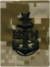 Куртка USN SCPO, AOR-1.png