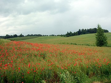 Verdeikių geomorfologinis draustinis: Anaiptol. 27