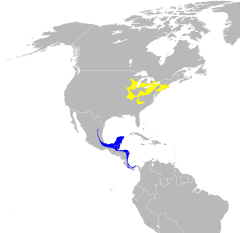      Nidificación      Invernada