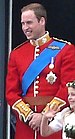 Prince William on the Balcony at Buckingham Pa...