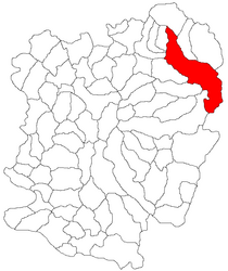Расположение в уезде Карадж-Северин