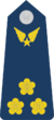 Đại Úy-Airforce 1.png