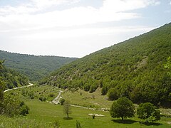 Глетка од горното течение во долината под с.Витолиште