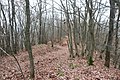 Auf dem Bergrat des Bergsporns Beurenkern