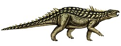 Miniatura para Acanthopholis horrida