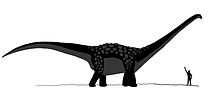 Miniatura para Antarctosaurus