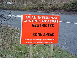 English: Avian Influenza ( Bird Flu ) Sign Avi...