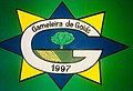 Bandeira de Gameleira de Goiás