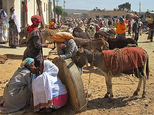 Donkeys in the Dekemhare market