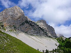 La Grande Moucherolle.