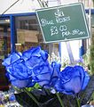 Blue roses in Oxford Covered Market