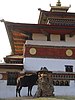 Chimi Lhakhang Divine Madman Monestary