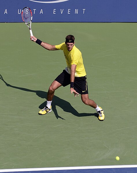 File:Delpo back swing - Flickr - chascow.jpg