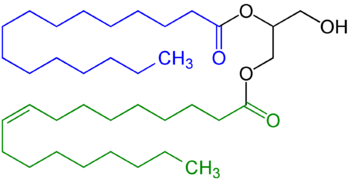 Diglyceride, in this example with a saturated fatty acid residue (highlighted blue) and a unsaturated fatty acid residue (highlighted (green).