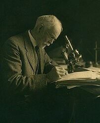 Le zoologiste et généticien américain Edmund Beecher Wilson vers la fin des années 1880. (définition réelle 3 084 × 3 793)