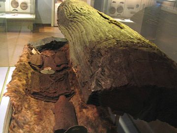 The Egtved Girl coffin from the late Nordic Bronze Age