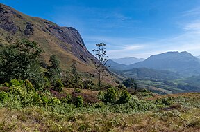 Landschaft im Eravikulam-Nationalpark