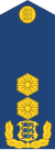 Эстония-AirForce-OF-7.svg