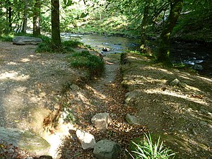 English: Exmoor : Dry Stream & River Barle