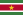 VisaBookings-Suriname-Flag