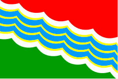 Flaga Tyraspolu
