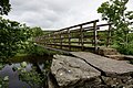 Footbridge over the River Ribble - geograph.org.uk - 5470938