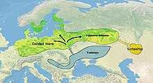 Corded Ware, Yamnaya and Sintashta cultures From Corded Ware to Sintashta.jpg