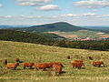 Blick vom Gläserberg zum Baier und nach Oberalba