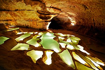 24/10: Formació de gours en les coves de Sant Marcèu de la Cauna (Ardecha)