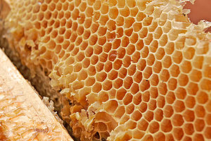 Honey comb02