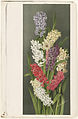 Hyacinths, Farblithografie, Boston Public Library, 1880/90er Jahre